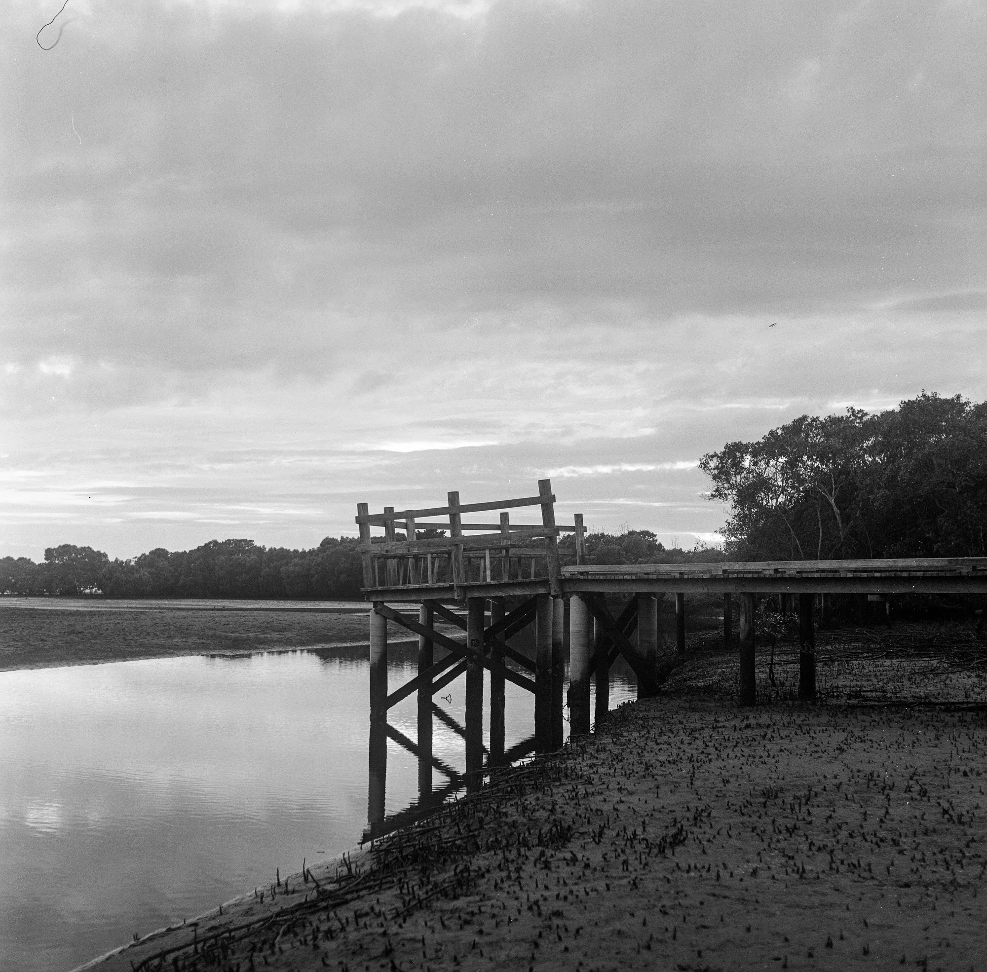Sunrise over still waters