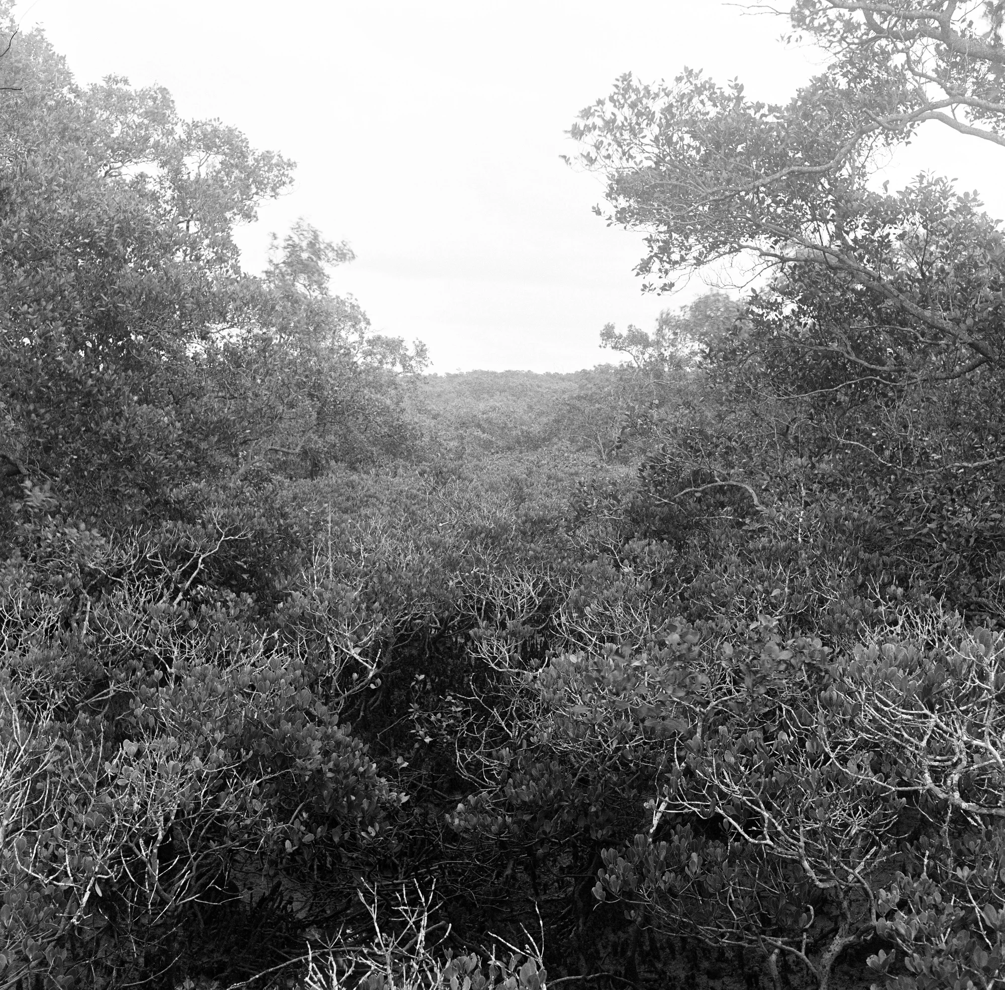 Dawn light reflecting on water